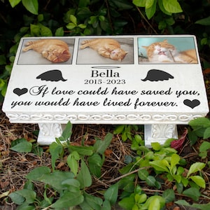 May include: White memorial bench with three photos of a ginger cat. The bench has a heart and angel wings on either side of the inscription "Bella 2015-2023 If love could have saved you, you would have lived forever."