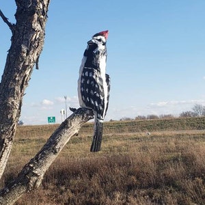 14 inch chainsaw carved woodpecker statue with no base image 5