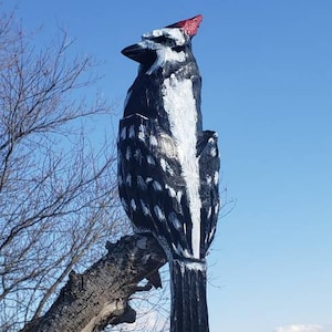 14 inch chainsaw carved woodpecker statue with no base image 6