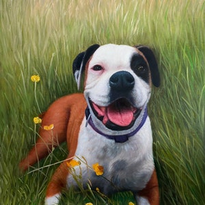 Dog Painting from Photo, Custom Pet Portrait, Personalized Animal Painting,Oil Portrait Commission,Realistic Pet Memorial Gift,Pet Loss Gift