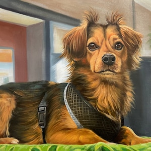 Pittura personalizzata per cani, Ritratto personalizzato di animali domestici da foto, Pittura di immagini di gatti, Arte murale di pittura ad olio di animali