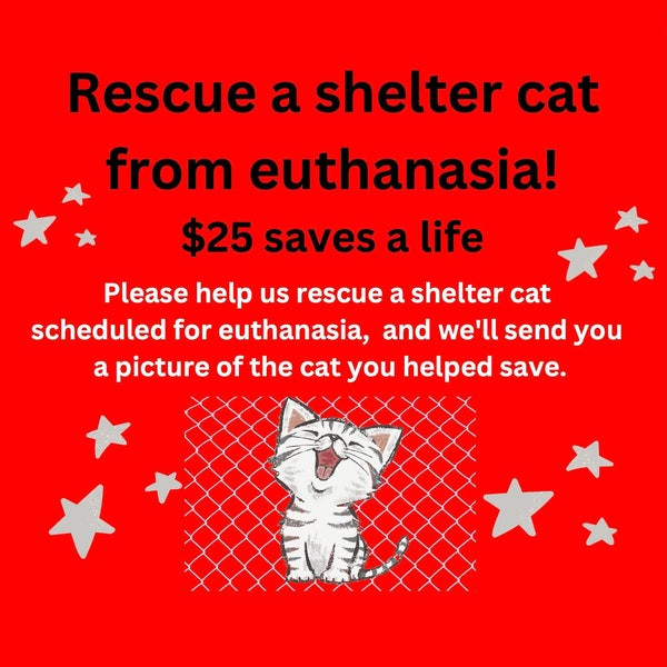 Shop for a Cause: SAVE a SHELTER CAT or Kitten from Euthanasia * Rescue * Save a Life * Don't Let an Innocent Pet Die * Help * 100% Charity