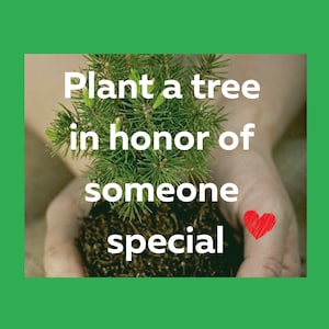 Living Tree Tribute * Memorial Gift * Sympathy Commemorative Bereavement Funerals * Happy Birthday in Heaven *  Gifts that Give Back * Pets