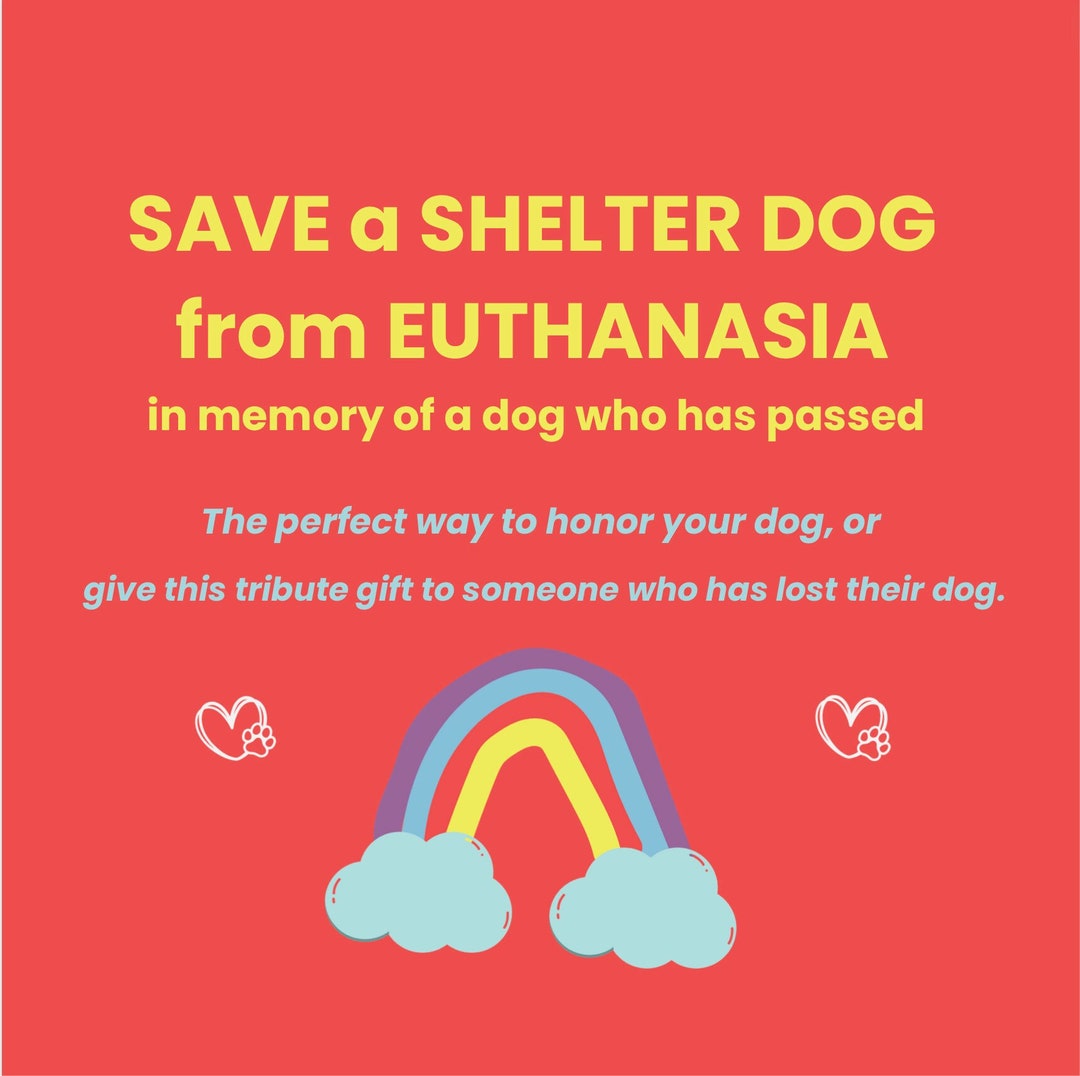 Save a Shelter Dog in Memory of Your Dog Cat Pet Sympathy Commemorative,  Bereavement Memorial Gift Keepsake Certificate 100% Charity