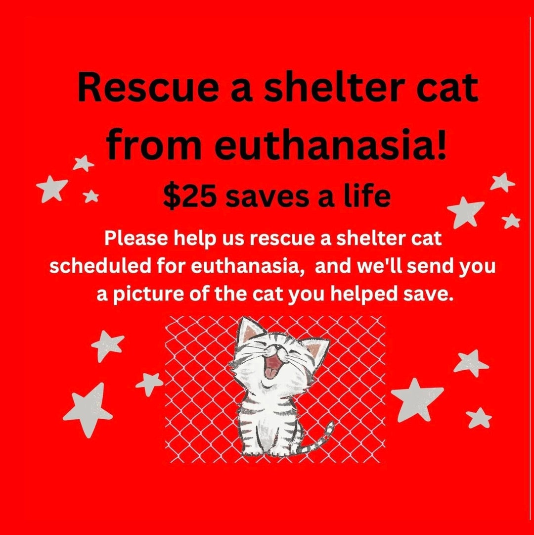 Animal Society Calling All Cats Sanctuary Gift Auction Calling All