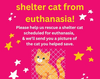Help SAVE Shelter CAT Kitten Pet from EUTHANASIA Rescue * Includes a Digital Certificate of Giving or Mail a Gift for Good * Charity