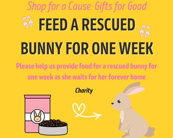 FEED a RESCUED RABBIT for One Week *Bunny Bun Lover * Pet Food  * Incl Certificate of Giving or Mail a Unique Gift for Good *  Charity