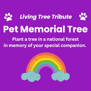 LIVING TREE TRIBUTE: Dog Cat Pet Memorial * Sympathy Gift * Commemorative Tree Planting * Bereavement * Happy Birthday in Heaven * Charity