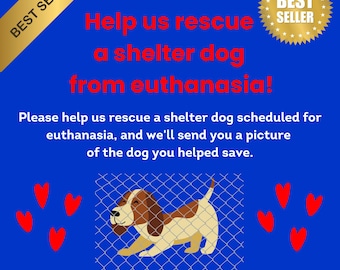 Help SAVE Shelter DOG Puppy from EUTHANASIA Rescue * Includes Digital Certificate of Giving or Ship a Gift for Good Package * Charity
