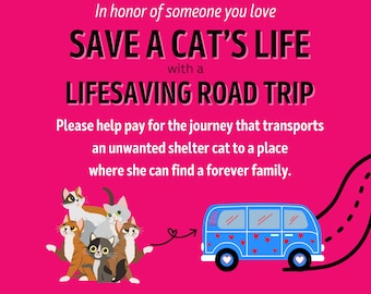 LIFESAVING TRANSPORT for Shelter CAT Kitten Road Trip * Animal Lover Present * Incl Certificate of Giving or Mail a Gift for Good * Charity