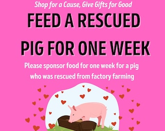 FEED a RESCUED PIG Piglet Saved From Slaughter Factory Farming * Includes Certificate of Giving or Ship a Give-Back Gift for Good * Charity