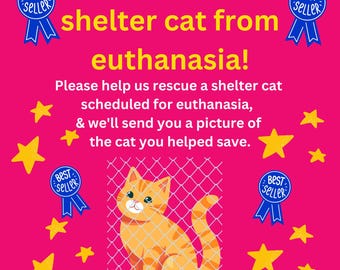Help SAVE Shelter CAT Kitten from EUTHANASIA Rescue * Includes Digital Certificate of Giving or Ship a Gift for Good Package * Charity