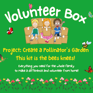 Volunteer Kit: DIY Potted POLLINATORS GARDEN * Bees Butterflies Hummers * Family Kid-Friendly Craft Project * Great Party Activity * Charity