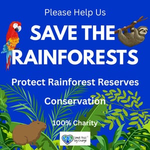 SAVE CONSERVE RAINFORESTS * Protect Preserve Tropical Forest Land Reserves Nature Habitat Critical Animal Species Eco-Friendly Gift Charity