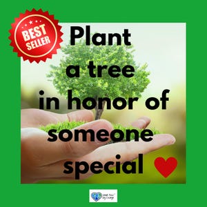 LIVING TREE TRIBUTE * Plant Trees in Memory Honor Sympathy of Someone Special * Happy Birthday in Heaven * Grief Loss Funeral Gift * Charity