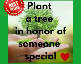 LIVING TREE TRIBUTE * Plant Trees in Memory Honor Sympathy of Someone Special * Happy Birthday in Heaven * Grief Loss Funeral Gift * Charity