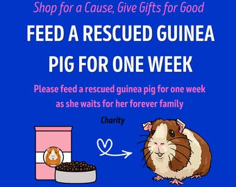 FEED Rescue GUINEA PIG for One Week * Pet Food Hay Pellets * Guinea Pig Lover * Incl Certificate of Giving or Mail a GIft for Good * Charity