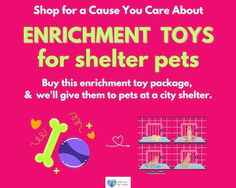 SHELTER PETS TOY Enrichment Bundle, 10 Toys Cat Dog Bird Rabbit Guinea Pig * Digital Certificate of Giving or Mail a Gift for Good * Charity