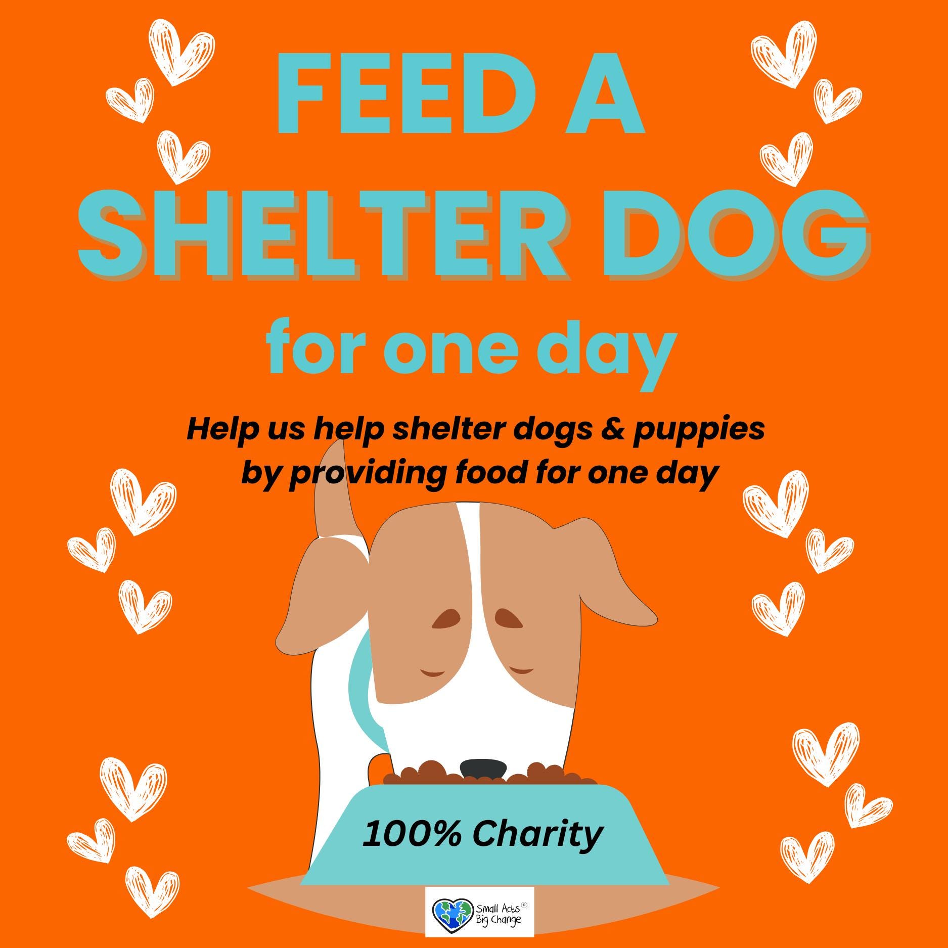 Humane Society Emergency Foster Care For Dogs Care Kits For Pet