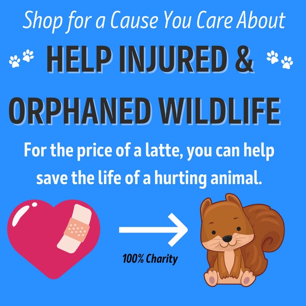 Shop for a Cause: Help Injured & Orphaned Wildlife * Rescue Nonprofit Wildlife Sponsorship * 100% Charity * Keepsake Certificate Included