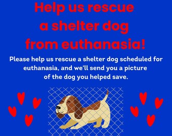 Help SAVE Shelter DOG Puppy from EUTHANASIA Rescue * Includes Digital Certificate of Giving or Mail a Gift for Good * Charity