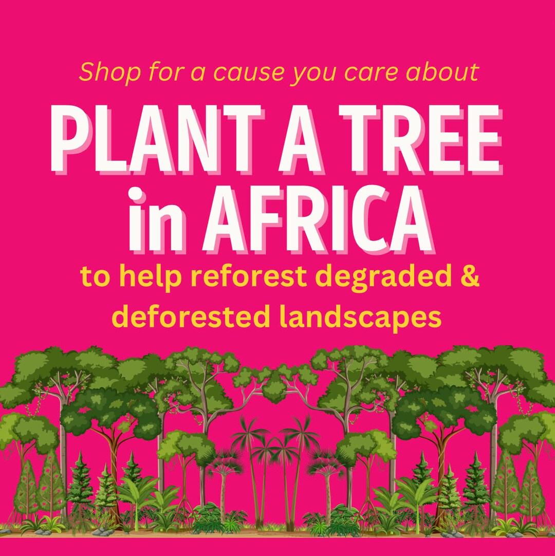 Shop for a Cause: Plant a Tree in Africa Congo Basin Rainforest ...