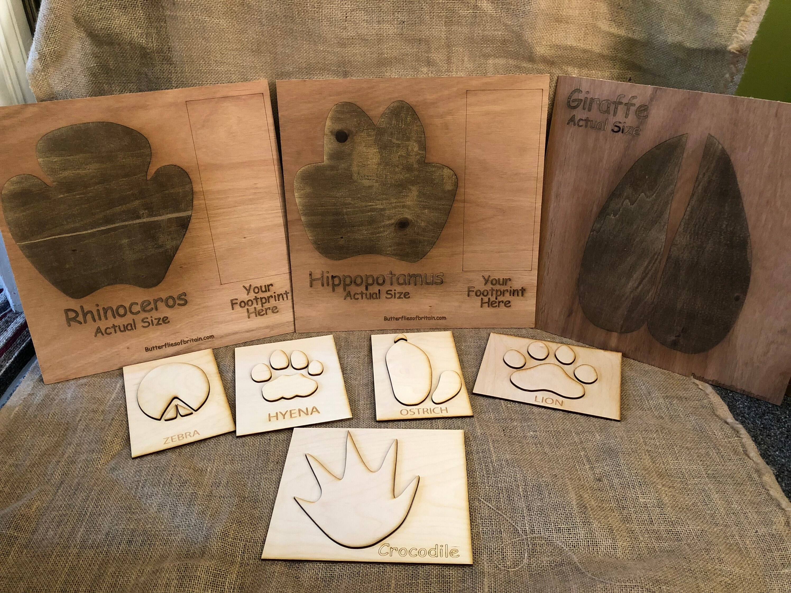 African Animal Footprint Set - Etsy UK