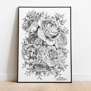 Ranúnculo, pôster digital, desenho gráfico em preto e branco com uma caneta, arte de parede com flores em linha, decoração floral minimalista, imagem de interior