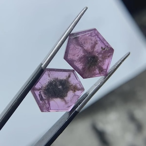 Trapiche Ruby Faceted Pink Slices Pair From Kashmir Pakistan
