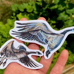 Stickers Bernaches du Canada, lot d'autocollants dessin animalier aux crayons de couleur, autocollants pour ordinateur portable art animalier, oiseaux