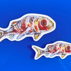 Fisch Aufkleber Rotbarbe, Buntstift Meerestier Rotbarbe Original Zeichnung Aquatic Life Sticker Fotopapier Angeln Laptop Aufkleber