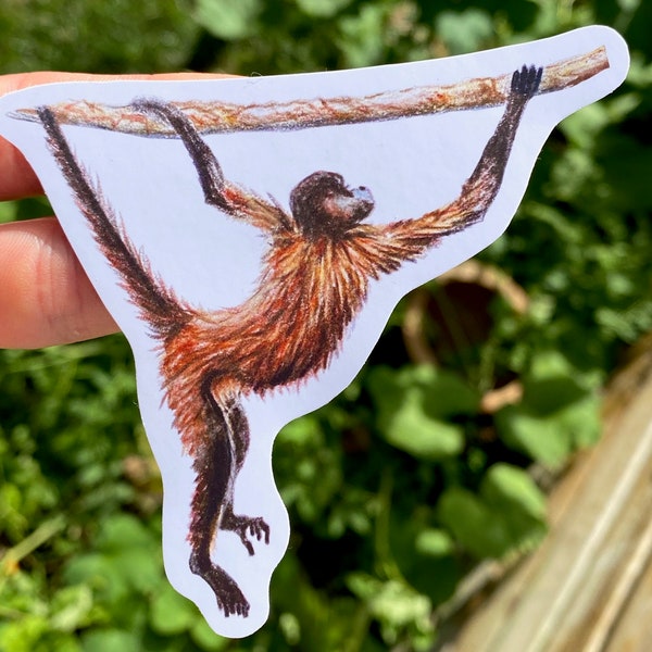 Spinaap sticker, kleurpotlood dierentekening, jungle wildlife laptop sticker sticker