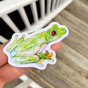 Tree Frog Sticker, Colored Pencil Animal Drawing, Jungle Wildlife Art Laptop Sticker Decal, Red Eyed Tree Frog