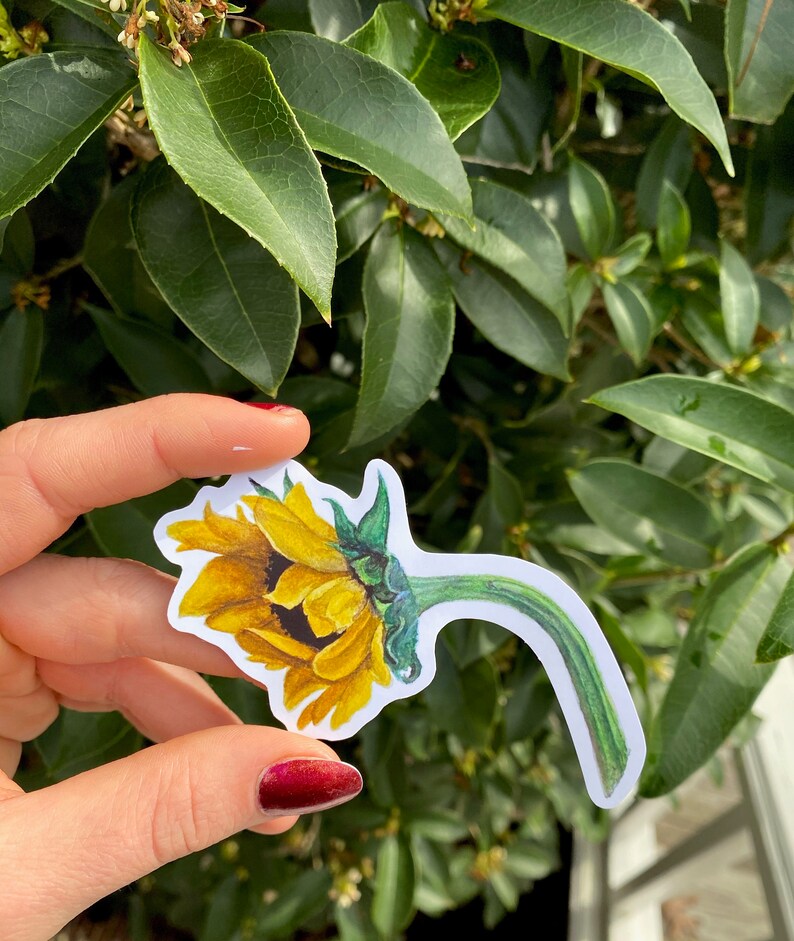 Sunflower Sticker Watercolor Flower Original Artwork Plant Etsy