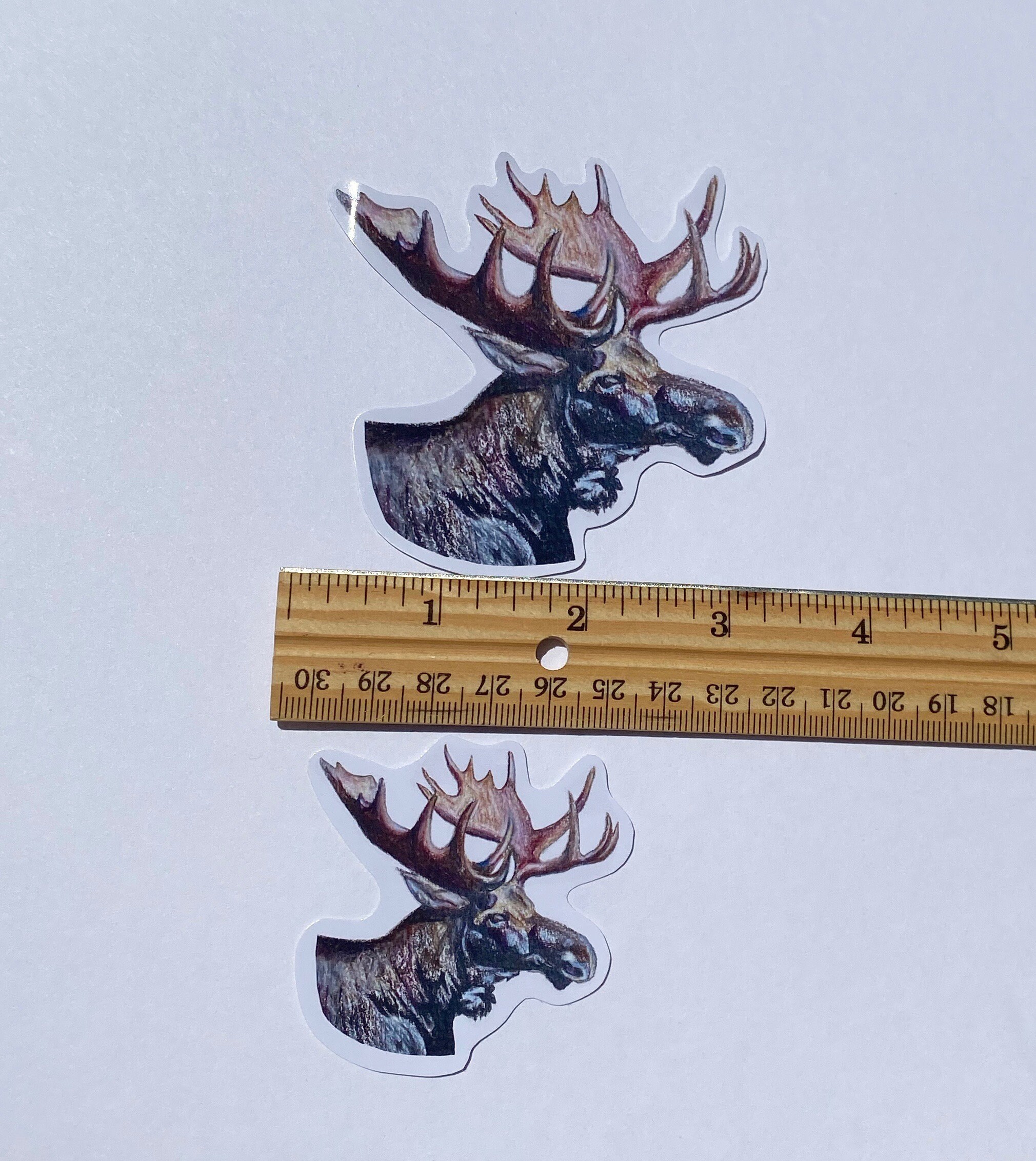 Moose Sticker, Colored Pencil Animal Drawing, Wildlife Art Laptop ...