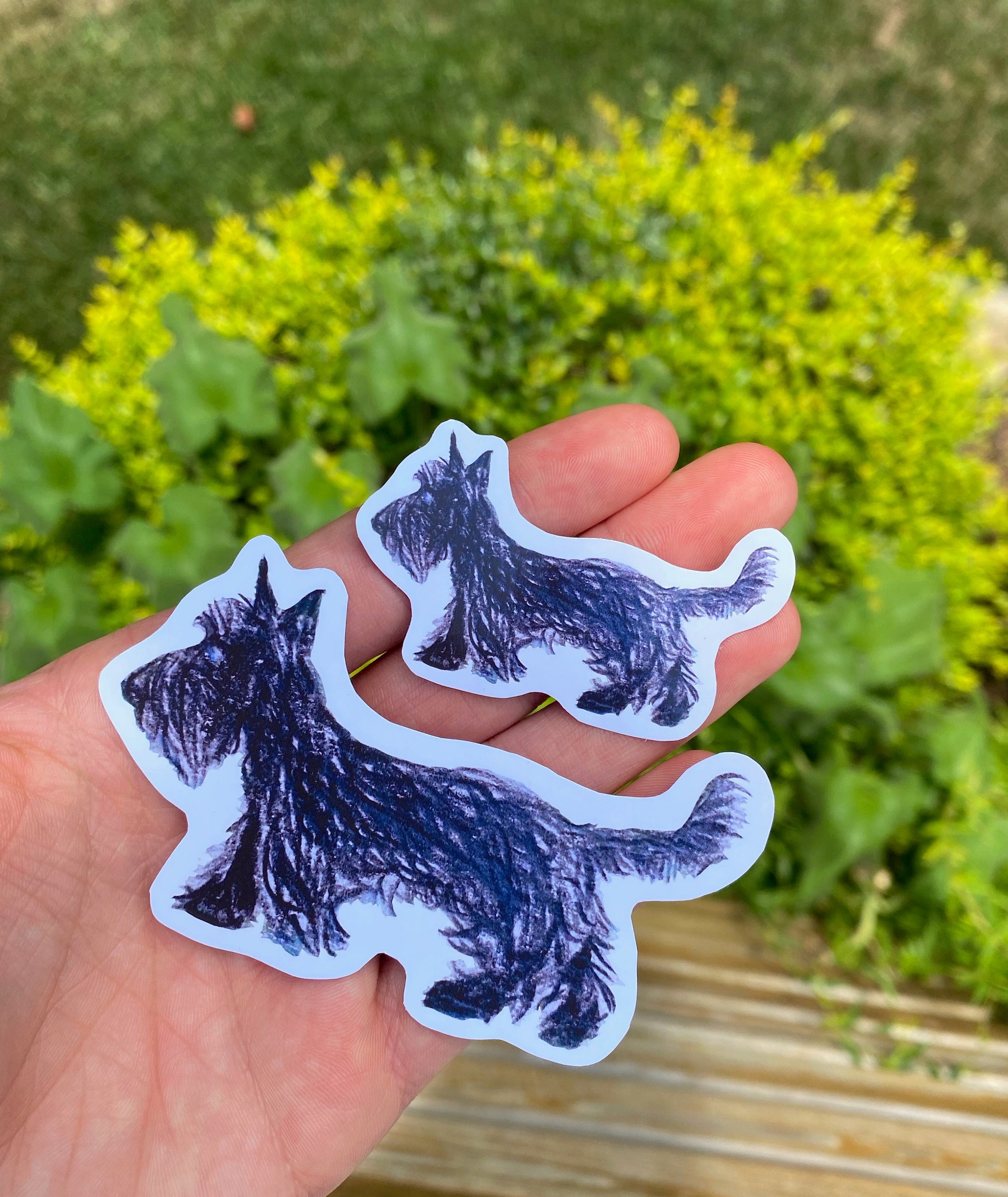 Scottie Sticker Colored Pencil Dog Drawing Pet Animal Art Etsy