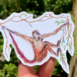 Spider Monkey Sticker, Colored Pencil Animal Drawing, Jungle Wildlife Laptop Sticker Decal