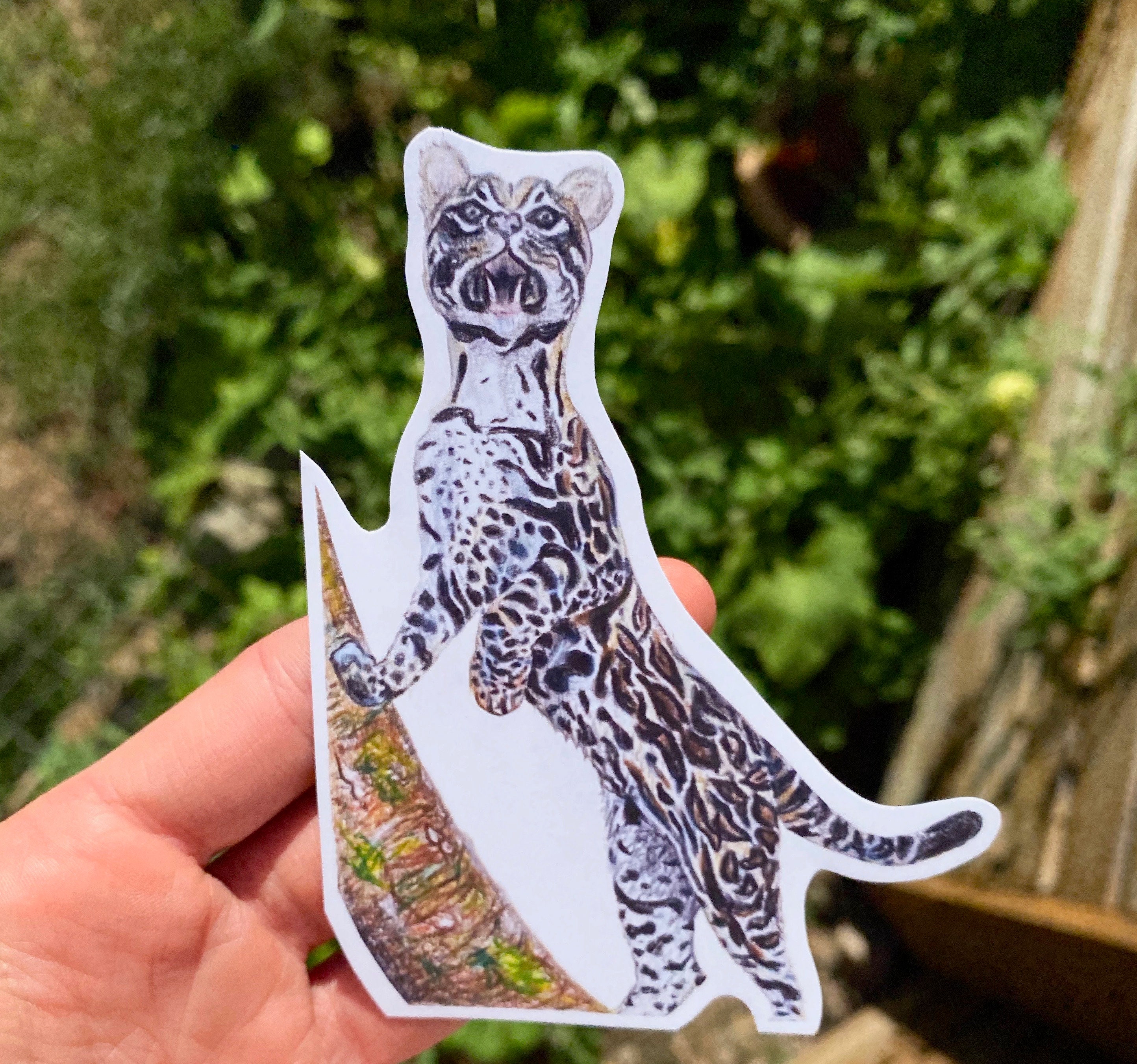 Ocelot Sticker, Colored Pencil Animal Drawing, Wild Cat Jungle Wildlife ...