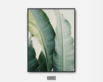 Tropical Botanical Wall Art - Green Banana Leaf Print - Nature-inspired Home Decor