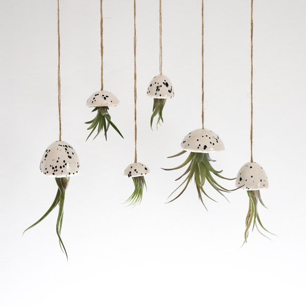 Air Plant Holder / Jellyfish “Polka Dots” / Ceramic Jellyfish with Plant / Tillandsia / Air Plant Decoration / Gifts for Women