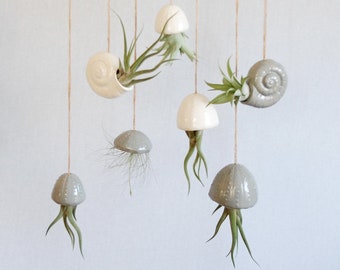 Air plant holder made of ceramic / jellyfish / tillandsia decoration idea / air plant decoration / gifts for women for Mother's Day