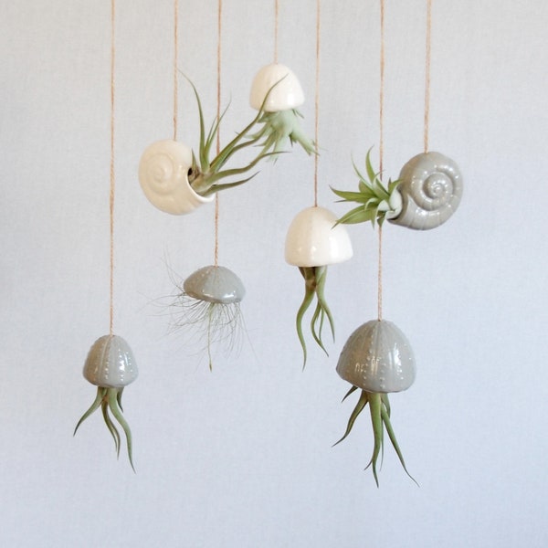 Air plant holder made of ceramic / jellyfish / tillandsia decoration idea / air plant decoration / gifts for women for Mother's Day