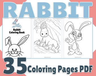 Download Rabbit Coloring Book Etsy