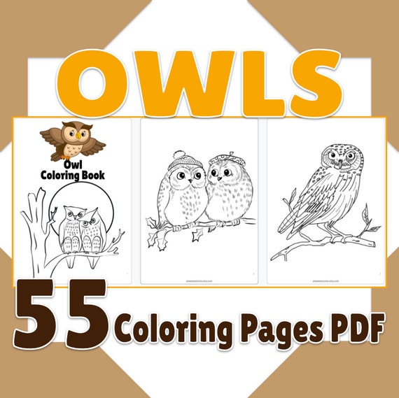 Owl Coloring Pages Printable Owl Coloring Book 55 Page PDF