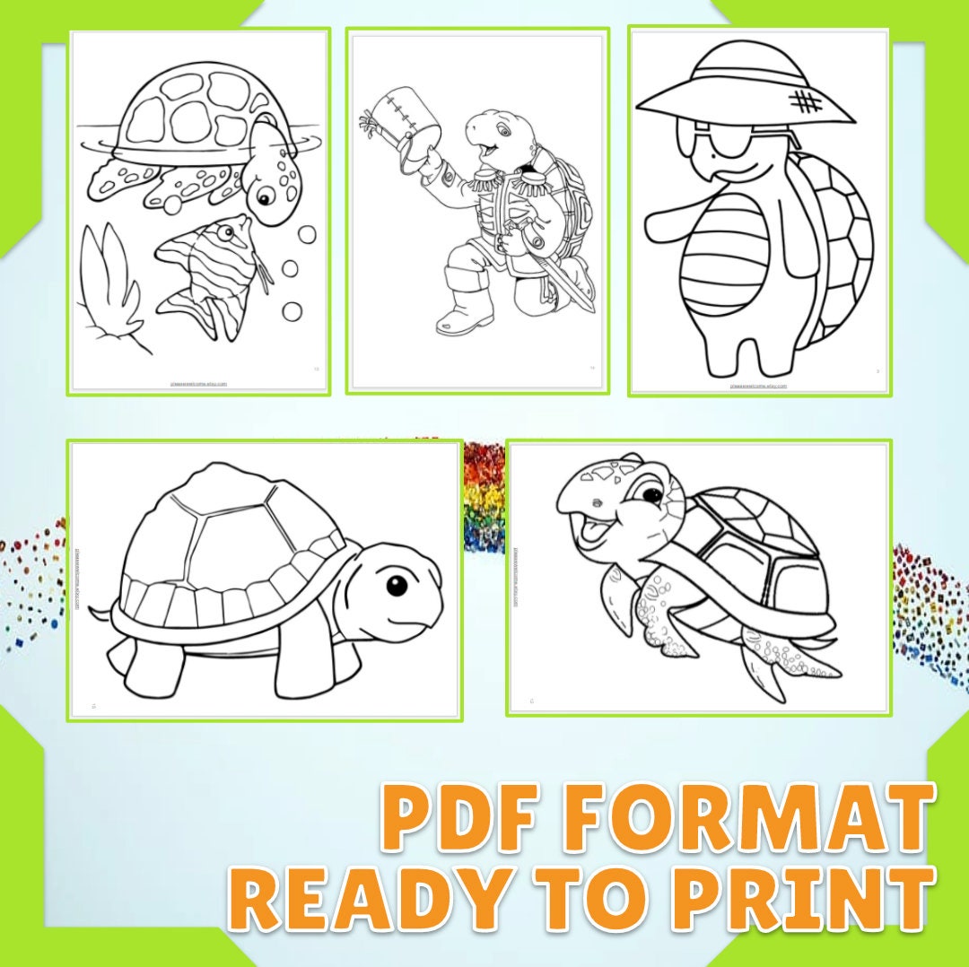 Turtle Coloring Pages Printable Turtle Coloring Book 15 Page | Etsy