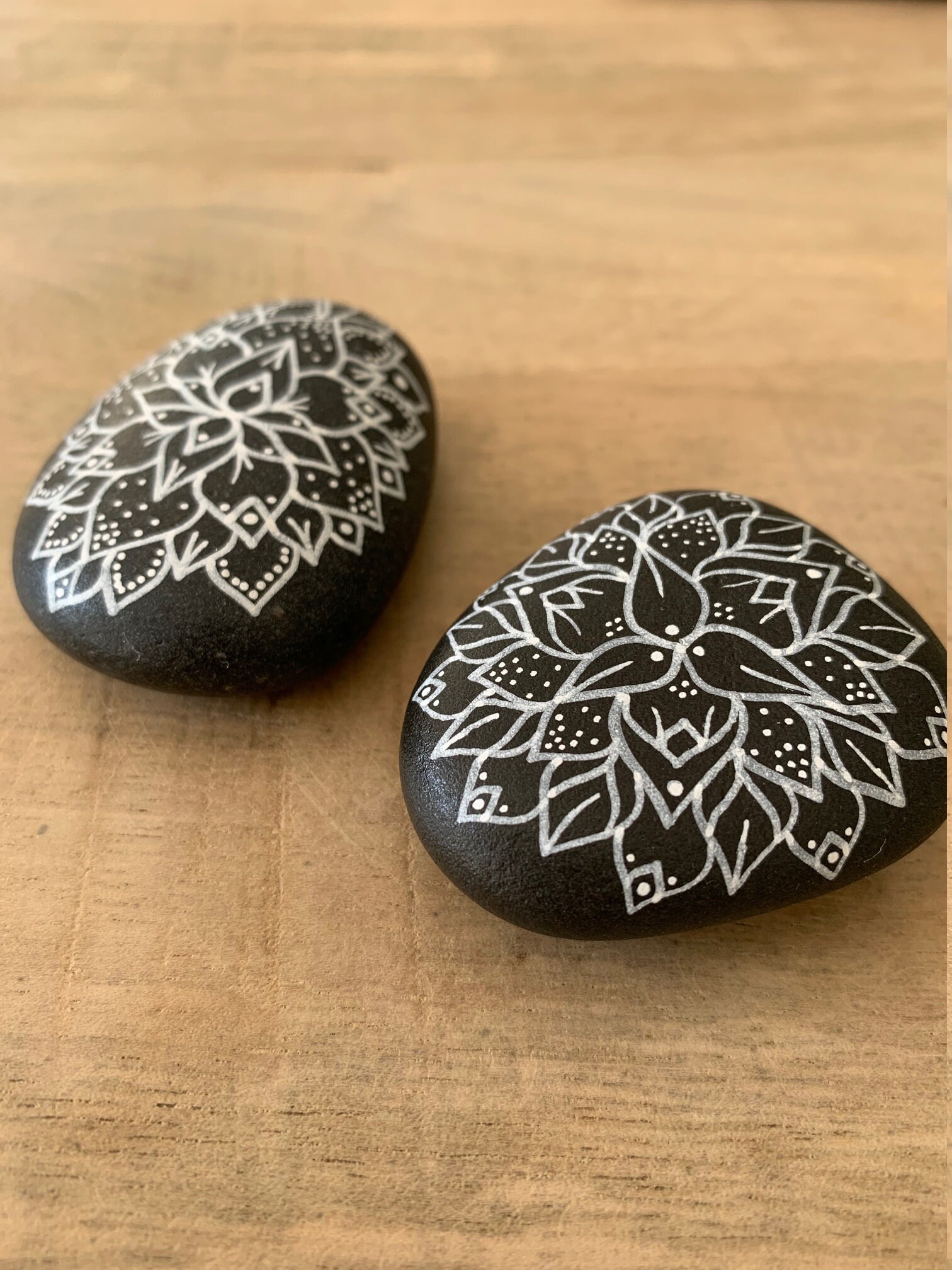 Duo de Cailloux Peints