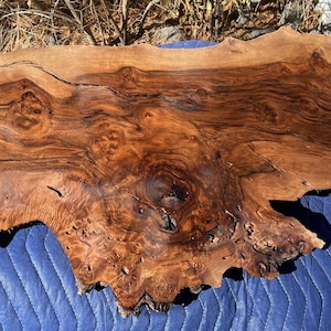Black Walnut Slab Live Edge Slice Rustic Wedding Decor Epoxy Resin Wood Project Unique Crafting Piece Woodworking Wall Hanging 3+ ft. Long