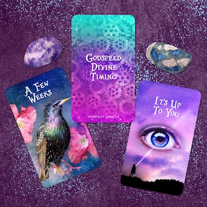 LAST ONES: Godspeed Divine Timing Oracle Deck of Cosmic Tarot-Sized Cards immagine 1