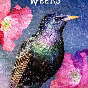 LAST ONES: Godspeed Divine Timing Oracle Deck of Cosmic Tarot-Sized Cards immagine 8