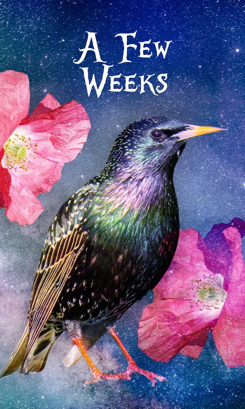 LAST ONES: Godspeed Divine Timing Oracle Deck of Cosmic Tarot-Sized Cards immagine 8
